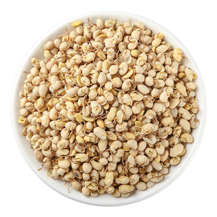 大豆黄卷500g/250g/100g大豆卷大黄豆卷新货无硫黄豆卷正品中药材