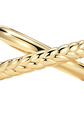 ParisaWang18k金镀银金鎏金工艺