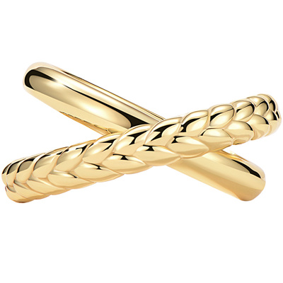 ParisaWang18k金镀银金鎏金工艺