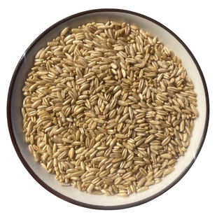 5斤2025年新有机燕麦米全胚芽 东北五谷粗杂粮粥 大麦仁500克X5袋