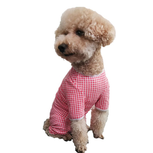 母狗狗连体生理裤全包裹大姨妈月经防骚扰四脚衣断奶防舔纯棉包肚