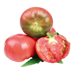 传家宝番茄种子粉白兰地牛排盆栽阳台庭院老品种种籽蔬菜大西红柿