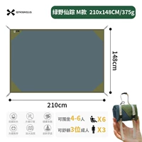 Green Wild Fairy M Code