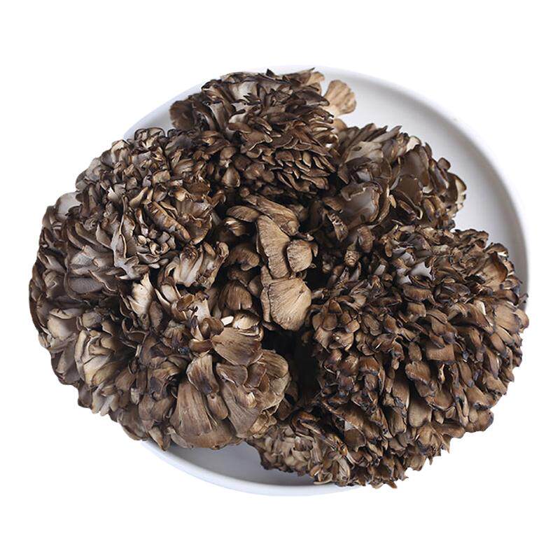 食用菌灰树菇栗蘑灰树花鲜菌