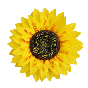 舞蹈道具向日葵手花幼儿园运动会入场出场开幕式手拿花太阳花道具