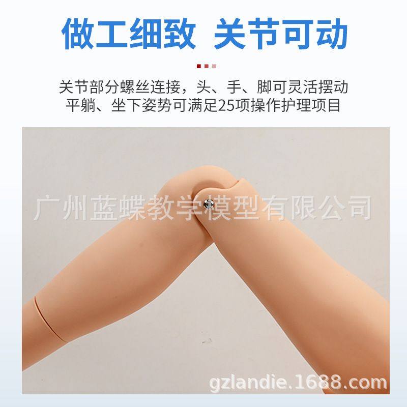 男女性导尿模型 插尿管模型 医学导尿技能操作护理模特 灌肠模型