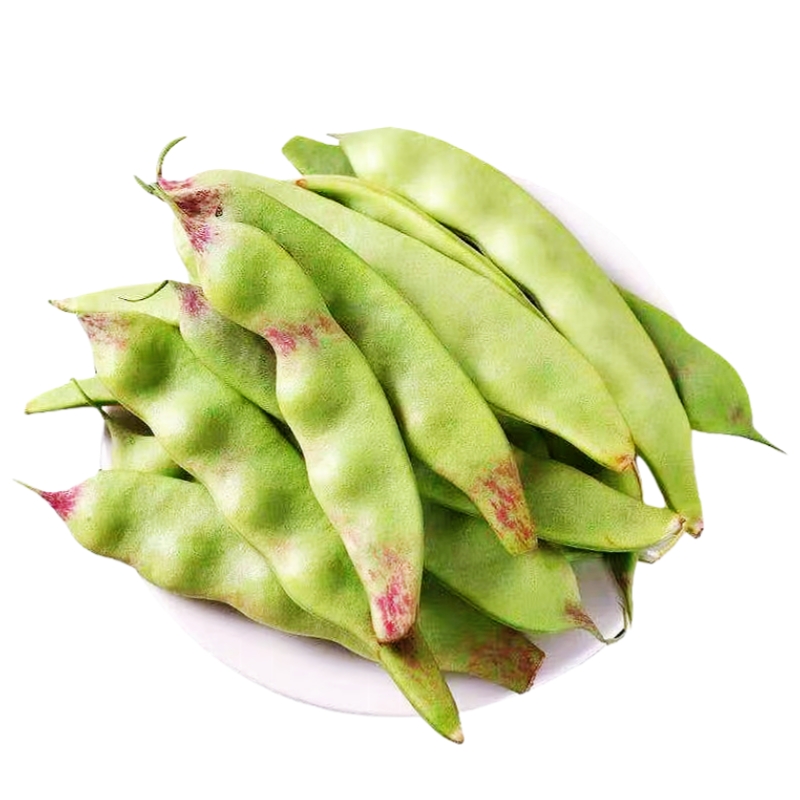正宗东北油豆角小油豆角黄金勾豆角5斤新鲜一点红九月青整箱包邮