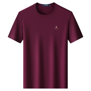 莫代尔长绒棉梦特娇圆领短袖T恤男夏季新款轻奢高端休闲上衣体恤Z