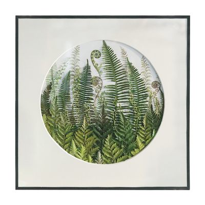 种籽造物标本画无需养护的植物园