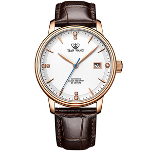 天王表手表 时尚简约防水正品机械情侣表男表女士名表51001