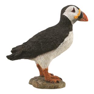 【88895海鹦】CollectA官方授权正版动物模型早教玩具