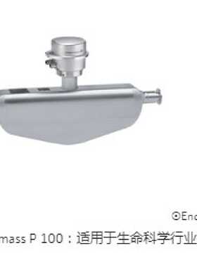 议价EndressHauser全新正品EH P100科里奥利质量流量计8P1B08DN8