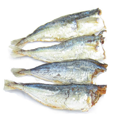 新鲜自晒巴浪鱼咸鱼福建食用