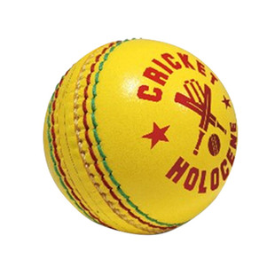 寓鸟板球cricket板球拍cricket bat板球用品蝙蝠板球具练习板球