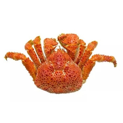 智利熟冻雪蟹整只 新货螃蟹 进口海鲜多规格鳕蟹 顺丰包邮