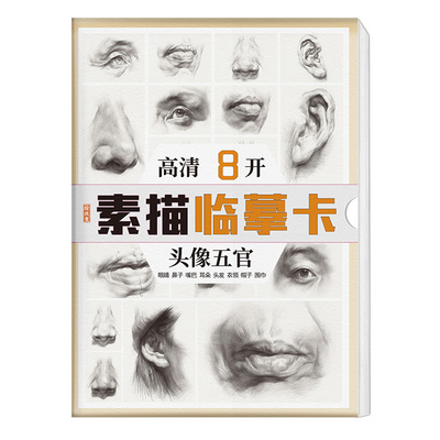2023素描临摹卡头像五官