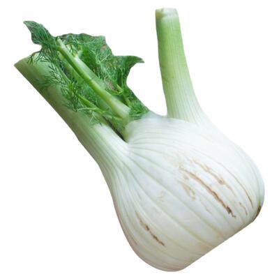 新鲜茴香头约1斤 茴香根茴香球茎西餐香料蔬菜炒牛肉食材 5件包邮