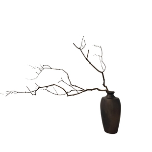 天然干树枝枯枝造型摆件禅意原木艺术分杈带枝花瓶装饰树枝造景树