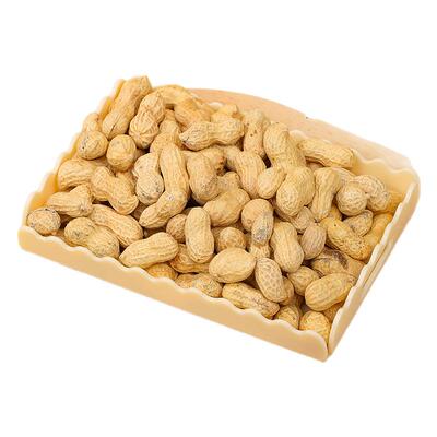 白根柱非遗品牌干炒花生新货现炒