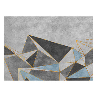 1mm超薄入户地垫不卡门pvc可擦洗皮革脚垫入门地毯门垫进门门口