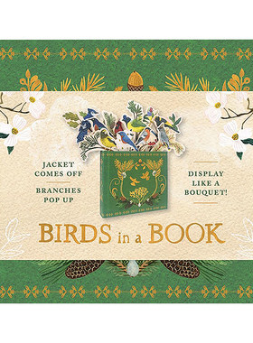 书中鸟立体书BirdsinaBook