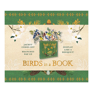 书中鸟翻翻立体书 Birds in a Book(A Bouquet in a Book) Lesley Earle艺术插画 英文原版创意书型花盆礼品节日礼物书籍可单拍