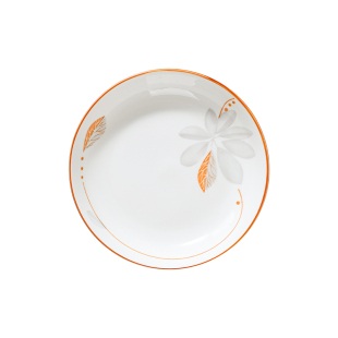 6英寸小盘子家用加深吐骨碟果盘炒菜创意个性2025新款高颜值餐具