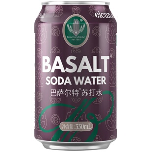 溪存无糖气泡苏打水0糖0脂0卡巴萨尔特原味气泡水 330ml*24瓶