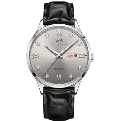 IW爱沃驰进口机芯机械表