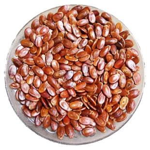 江西赣南信丰特产西瓜子农家生瓜子蒸煮炒熟原味散称红皮瓜子