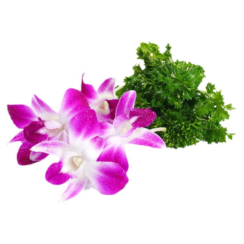 洋兰花番西组合锅烤肉摆盘装饰