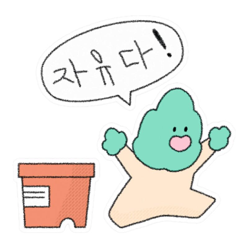 布几岛韩国授权douxcoin贴纸/立体贴纸