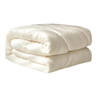 Tevel/堂皇大豆纤维被芯冬季保暖