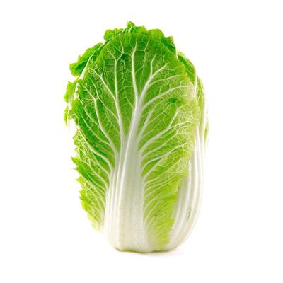 胶蔬秋季山东耐寒北方黄心大白菜