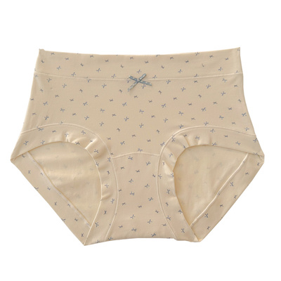 女式内裤女款纯棉加长档抗菌短裤