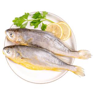 【三都港】三去速冻三去大黄鱼海鲜黄鱼新鲜宁德海鲜黄花鱼2条