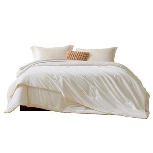 水星家纺蚕丝棉花冬被保暖抗菌春秋被子A类被芯子母二合一被送礼