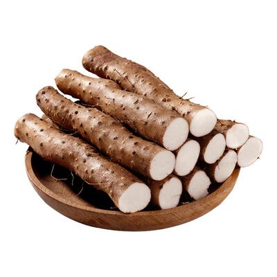 怀涛怀涛温县铁棍山药