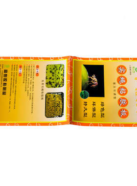 果蝇诱粘板针蜂实蝇粘胶板粘虫板