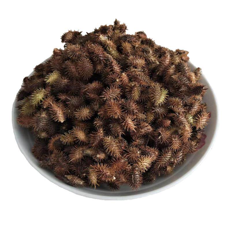 武当野生苍耳子中药材新货晒干带刺毛苍子鼻塞喷嚏泡脚生苍耳250g