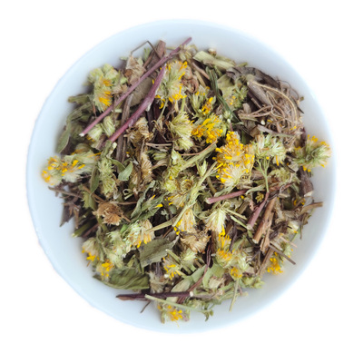 野生新货一枝黄花广西整株