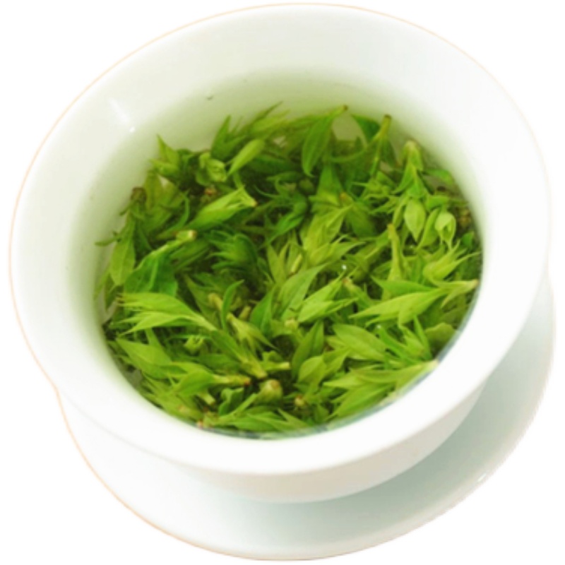 2024新茶小叶苦丁茶青山绿水明前野生嫩芽峨眉山茶叶250g