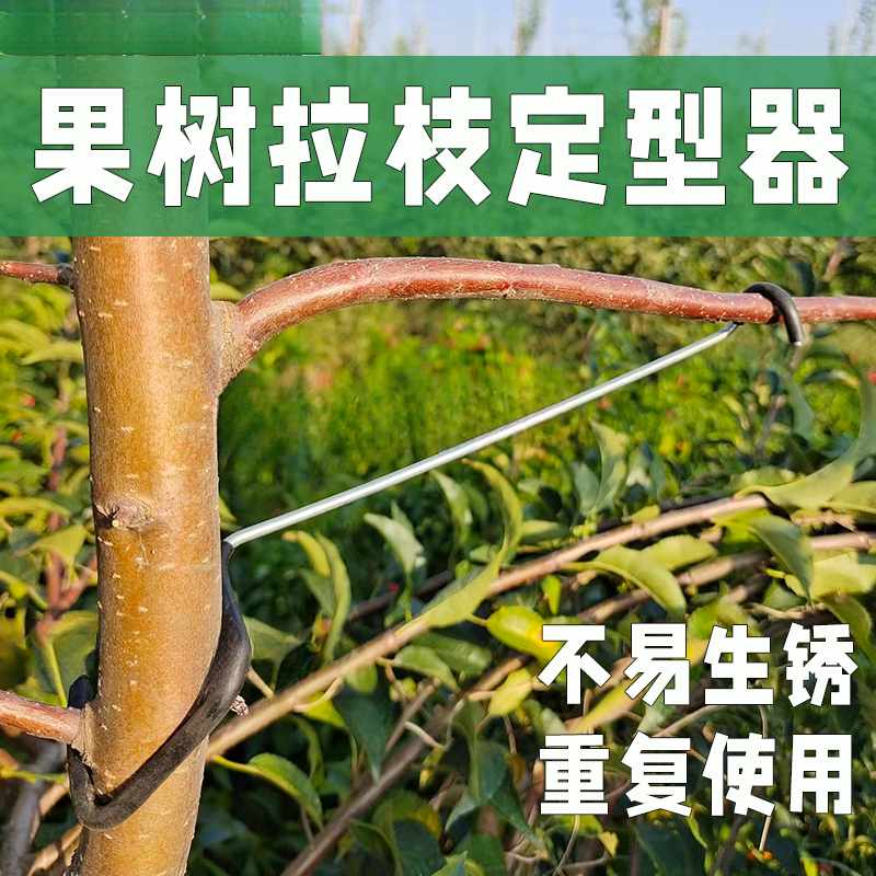 果树改进型拉枝器弯枝开 ??角器弯枝器果树压枝定型器神器热浸镀