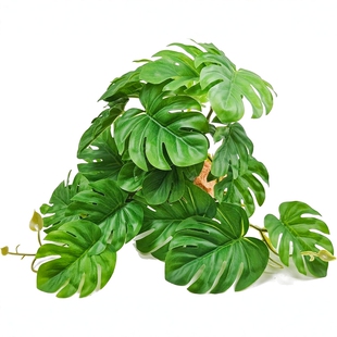 造景仿真植物爬宠箱饲养箱陆龟箱绿植蜥蜴蜘蛛爬宠盒造景植物装饰