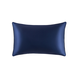 万事利桑蚕丝枕头套亲肤纯色真丝枕套一对两个AB面48*74cm极素