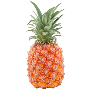 海南金钻凤梨新鲜水果9斤当季粉色风梨香水菠萝特产大果无眼整箱