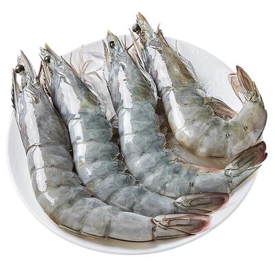 海仙部落厄瓜多尔白虾鲜活速冻