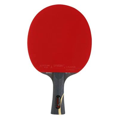 斯弗帝专业级乒乓球拍阿尤斯十星