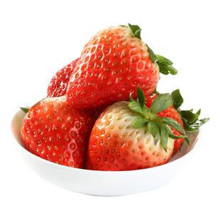 丹东草莓久久奶油孕妇可食顺丰包邮现摘红颜大果特产精选特大果