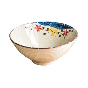 斗笠面碗家用2025新款大碗漂亮的饭碗拉面碗大号一人一个专用碗具